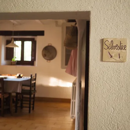 Bed & Breakfast Silvestre